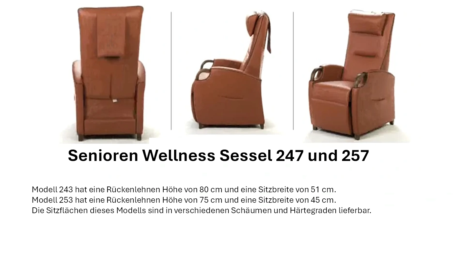 Senioren Wellness Sessel für Menschen mit eingeschränkter Mobilität Mod. 243 und 253